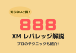XMのレバレッジは？何倍がベスト？【知らないと失敗するポイントまとめ】